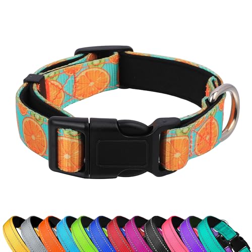 PWOD Reflektierendes Hundehalsband, verstellbar, weiches Neopren, gepolstert, Nylon, Haustierhalsbänder mit Schnalle für Welpen und kleine Hunde, Katzen, Sommerzitrone, L PWOD Reflektierendes Hundehalsband, verstellbar, weiches Neopren, gepolstert, Nylon, Haustierhalsbänder mit Schnalle für Welpen und kleine Hunde, Katzen, Sommerzitrone, L von PWOD