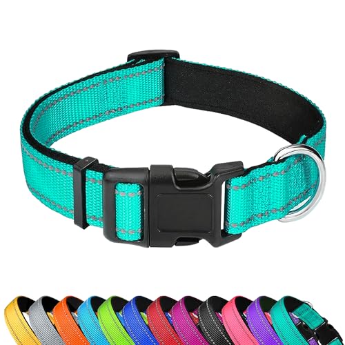 PWOD Reflektierendes Hundehalsband, verstellbar, weiches Neopren, gepolstert, Nylon, Haustierhalsbänder mit Schnalle für Welpen und kleine Hunde, Katzen, Türkis, XS von PWOD