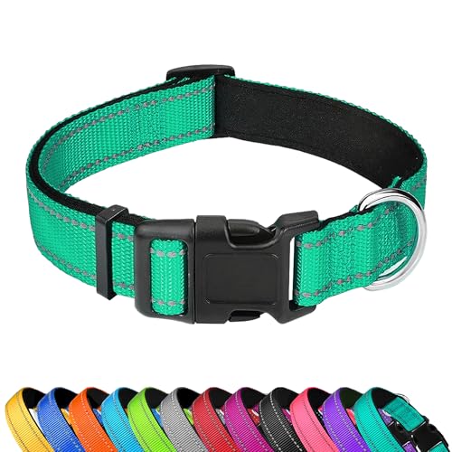 PWOD Reflektierendes Hundehalsband, verstellbar, weiches Neopren, gepolstert, Nylon, Haustierhalsbänder mit Schnalle für extra große Hunde, Grasgrün, XL PWOD Reflektierendes Hundehalsband, verstellbar, weiches Neopren, gepolstert, Nylon, Haustierhalsbänder mit Schnalle für extra große Hunde, Grasgrün, XL von PWOD