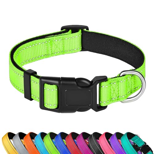 PWOD Reflektierendes Hundehalsband, verstellbar, weiches Neopren, gepolstert, Nylon, Haustierhalsbänder mit Schnalle für kleine Hunde, Grün, S PWOD Reflektierendes Hundehalsband, verstellbar, weiches Neopren, gepolstert, Nylon, Haustierhalsbänder mit Schnalle für kleine Hunde, Grün, S von PWOD