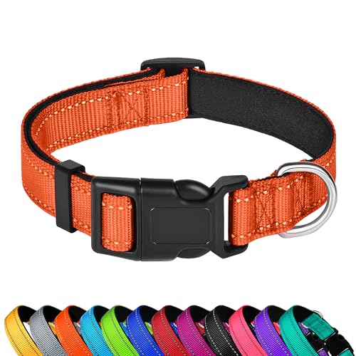 PWOD Reflektierendes Hundehalsband, verstellbar, weiches Neopren, gepolstert, Nylon, Haustierhalsbänder mit Schnalle für kleine Hunde, Orange, S PWOD Reflektierendes Hundehalsband, verstellbar, weiches Neopren, gepolstert, Nylon, Haustierhalsbänder mit Schnalle für kleine Hunde, Orange, S von PWOD