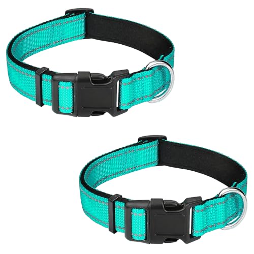 PWOD Reflektierendes Hundehalsband, verstellbar, weiches Neopren, gepolstert, Nylon, mit Schnalle, für Welpen und kleine Hunde, Katzen, Blaugrün, Größe XS, 2 Stück PWOD Reflektierendes Hundehalsband, verstellbar, weiches Neopren, gepolstert, Nylon, mit Schnalle, für Welpen und kleine Hunde, Katzen, Blaugrün, Größe XS, 2 Stück von PWOD