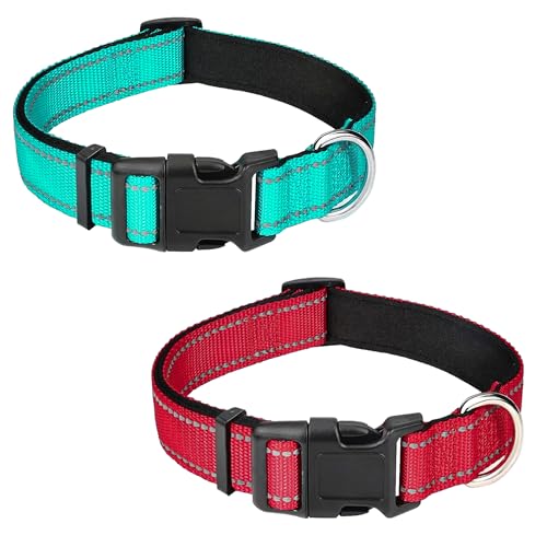 PWOD Reflektierendes Hundehalsband, verstellbar, weiches Neopren, gepolstert, Nylon, mit Schnalle, für Welpen und kleine Hunde, Katzen, Blaugrün/Rot, Größe XS, 2 Stück PWOD Reflektierendes Hundehalsband, verstellbar, weiches Neopren, gepolstert, Nylon, mit Schnalle, für Welpen und kleine Hunde, Katzen, Blaugrün/Rot, Größe XS, 2 Stück von PWOD