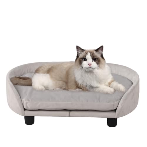 Haustiersofa für Hunde und Katzen, weicher Samtstoff, einfache Montage, leicht und tragbar, inklusive waschbarem Kissen und strapazierfähigen schwarzen Kunststofffüßen, für kleine/mittelgroße Haustiersofa für Hunde und Katzen, weicher Samtstoff, einfache Montage, leicht und tragbar, inklusive waschbarem Kissen und strapazierfähigen schwarzen Kunststofffüßen, für kleine/mittelgroße von PWTJ
