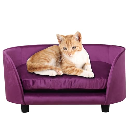 Hundesofas und Stühle für kleine Haustiere/Hundebetten mit Samtstoff/Haustier-Sofabett mit bequemem, waschbarem Kissen/Hundesofa für mittelgroße Hunde (lila) von PWTJ