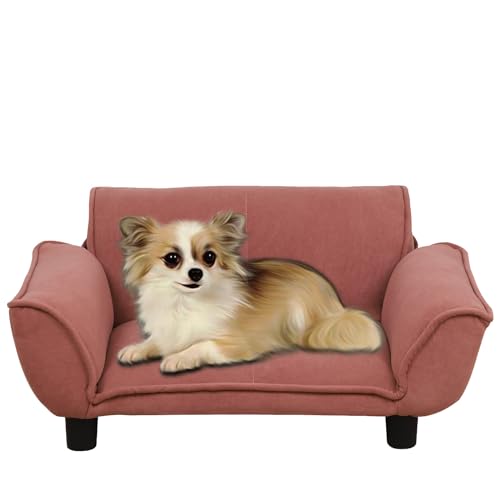 Kleine Hundebetten, Hundesofas und -stühle mit bequemem Samtstoff, Breite und Tiefe verstellbar, Metallrahmen, Haustiersofa, Stuhl, Haustier-Sofa, Bett mit Kunststoff-Bein, für kleine Hunde, Rosa von PWTJ