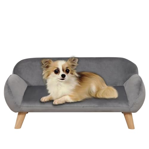 PWTJ Hundesofas und Stühle für kleine Haustiere, Holzrahmen, Katzen-Sofa, Stuhl, Haustier-Sofa, Bett mit Samt, Hundesofa für kleine Hunde (grau) von PWTJ