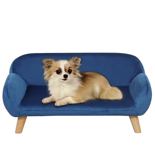 PWTJ Katzenbett/Luxus-Samtstoff-Hundebett/modisches Design, Hundesofas und Stühle/langlebiges Holzrahmen, Katzensofa/Hundesofa mit soliden Füßen/Sofa für kleine Hunde (blau) von PWTJ