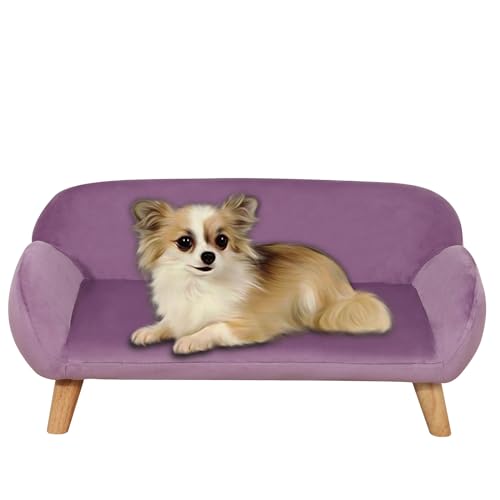 PWTJ Katzenbett/Luxus-Samtstoff-Hundebett/modisches Design, Hundesofas und Stühle/langlebiges Holzrahmen, Katzensofa/Hundesofa mit soliden Füßen/Sofa für kleine Hunde (lila) von PWTJ