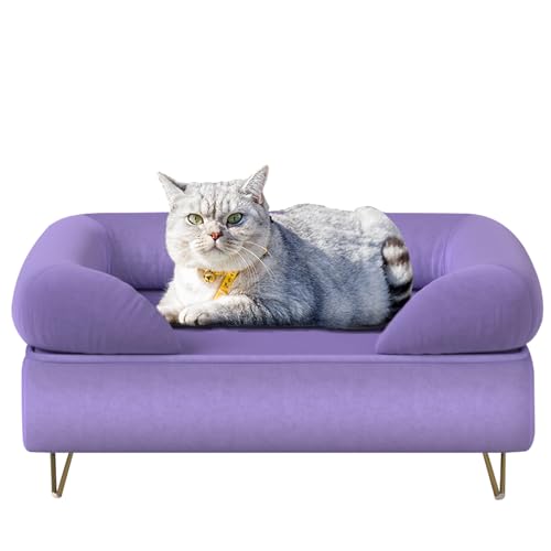 Sofabett für kleine Rassen, weicher Samt und Holzrahmen, bequeme Liegemöbel für kleine Haustiere, Violett von PWTJ