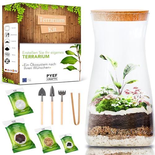 Flaschengarten Komplettset zum Schaffen EIN Ökosystem im Glas - Terrarium Starter Kit zum Anlegen EIN Biotop im Glas - Ain-Pflanze- (Kit mit Flasche) von PYEF CRAFTS