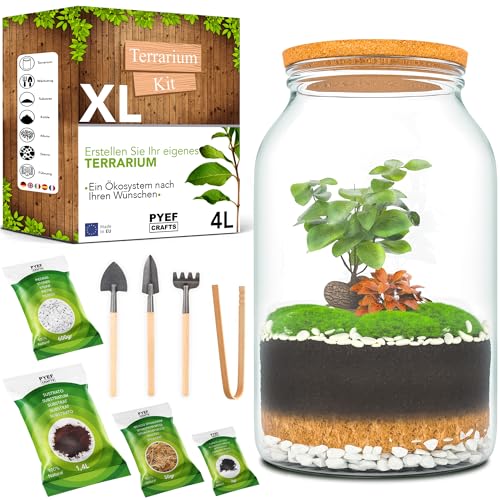 PYEF CRAFTS Flaschengarten Komplettset XL für Ökosystem im Glas - 4L Terrarium Pflanzen für Biotop Im Glas - Biosphäre im Glas Terrarium Set - Flaschengarten Glas Groß XXL Kit Ohne Pflanze (4 L) von PYEF CRAFTS