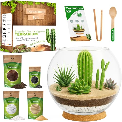 Terrarium-Set für Sukkulenten & Kakteen zum Selbermachen, Glas-Terrarium-Set, Ökosystem, Wüstensystem, Fischglas für Sukkulenten und natürliche Kakteen (2 l) von PYEF CRAFTS