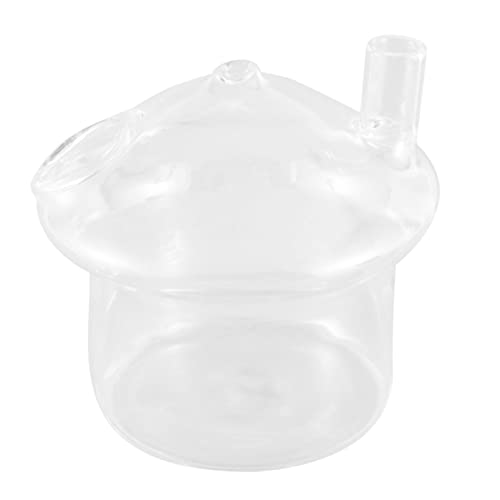 PYNQ Pilzförmiger Glas-Pflanzgefäß, Vase, Rumble Fish Tank, Terrarium, Behälter, Haus- und Gartendekoration von PYNQ