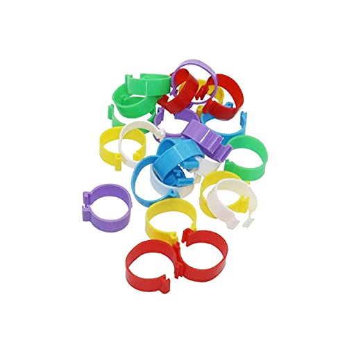 Hühnerfußring, 30 Stück, 25 mm, Geflügelfußring, Huhn, Ente, Gänsevögel, Beinbänder, wie abgebildet, Rot (gemischte Farbe, Einheitsgröße) von PZOFERLIN