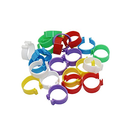 Hühnerfußring, 60 Stück, 2,5 cm, Hühnerfußringe, Clipring, Wachtelfußringe, XL, Schwarz Hühnerfußring, 60 Stück, 2,5 cm, Hühnerfußringe, Clipring, Wachtelfußringe, XL, Schwarz von PZOFERLIN