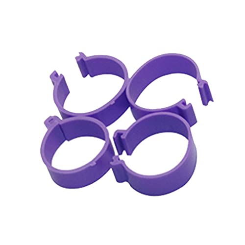 Hühnerfußring, 60 Stück, 2,5 cm, Hühnerfußringe, Clipring, Wachtelfußringe, XL, Violett Hühnerfußring, 60 Stück, 2,5 cm, Hühnerfußringe, Clipring, Wachtelfußringe, XL, Violett von PZOFERLIN