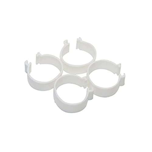 Hühnerfußring, 60 Stück, 2,5 cm, Hühnerfußringe, Clipring, Wachtelfußringe, XL, Weiß Hühnerfußring, 60 Stück, 2,5 cm, Hühnerfußringe, Clipring, Wachtelfußringe, XL, Weiß von PZOFERLIN