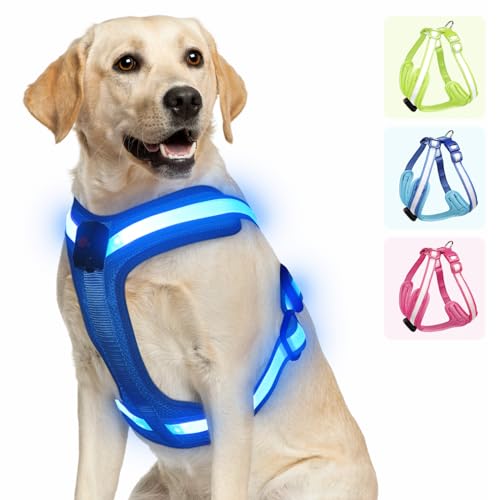 PZRLit Hundegeschirr Leuchtend, Leuchtgeschirr für Hunde Aufladbar, Leuchtendes Hundegeschirr LED, Leucht Geschirr für Hunde Reflektierend mit Licht Sicherheit im Dunkeln-Blau, Mittel von PZRLit