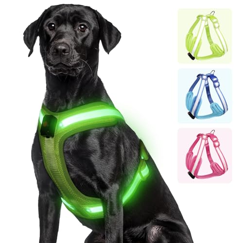 PZRLit Hundegeschirr Leuchtend, Leuchtgeschirr für Hunde Aufladbar, Leuchtendes Hundegeschirr LED, Leucht Geschirr für Hunde Reflektierend mit Licht Sicherheit im Dunkeln-Grün, Groß von PZRLit