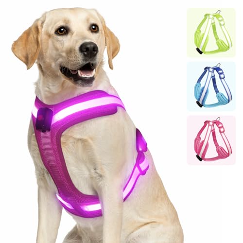 PZRLit Hundegeschirr Leuchtend, Leuchtgeschirr für Hunde Aufladbar, Leuchtendes Hundegeschirr LED, Leucht Geschirr für Hunde Reflektierend mit Licht Sicherheit im Dunkeln-Rosa, Groß von PZRLit