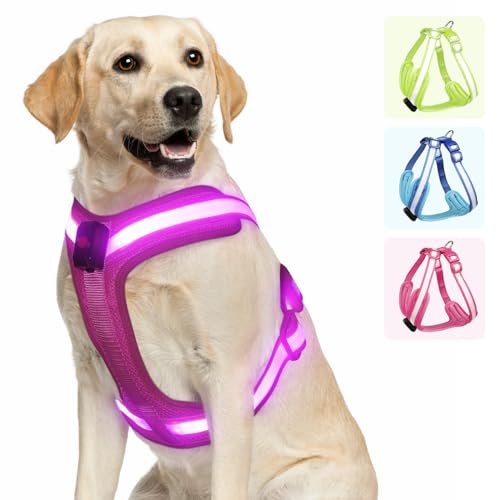 PZRLit Hundegeschirr Leuchtend, Leuchtgeschirr für Hunde Aufladbar, Leuchtendes Hundegeschirr LED, Leucht Geschirr für Hunde Reflektierend mit Licht Sicherheit im Dunkeln-Rosa, Groß von PZRLit