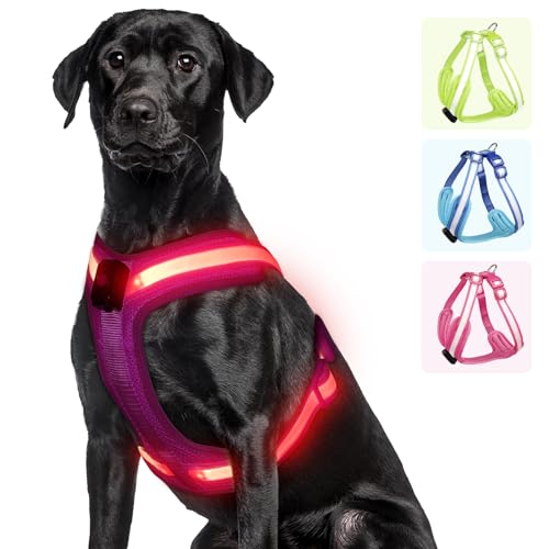 PZRLit Hundegeschirr Leuchtend, Leuchtgeschirr für Hunde Aufladbar, Leuchtendes Hundegeschirr LED, Leucht Geschirr für Hunde Reflektierend mit Licht Sicherheit im Dunkeln-Rose Rot, Groß von PZRLit