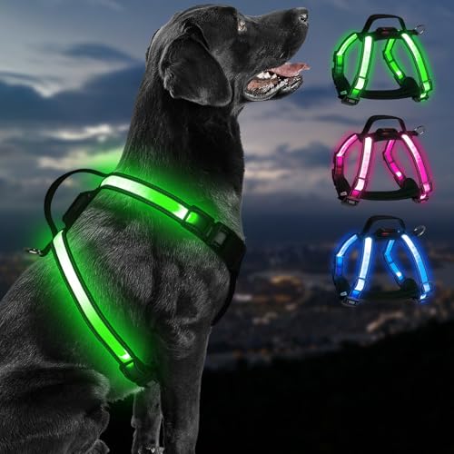 PZRLit Hundegeschirr Leuchtend Aufladbar für Hunde (Mittel) von PZRLit