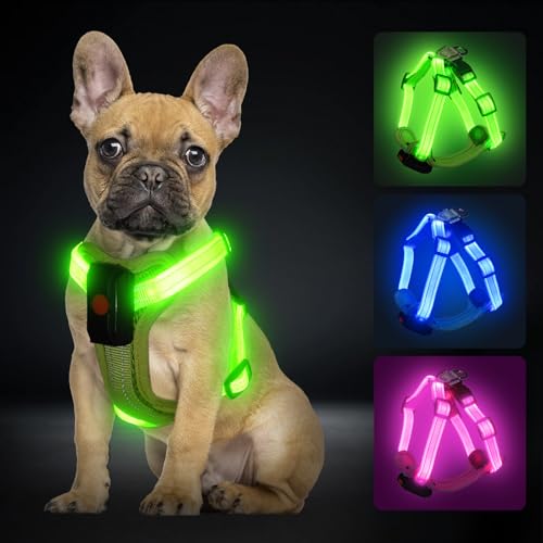 PZRLit Hundegeschirr Leuchtend Aufladbar für kleine Hunde, Leuchtgeschirr für XS Hunde, Reflektierend LED Geschirr für Welpen für sicheres Gehen in der Nacht-Grün PZRLit Hundegeschirr Leuchtend Aufladbar für kleine Hunde, Leuchtgeschirr für XS Hunde, Reflektierend LED Geschirr für Welpen für sicheres Gehen in der Nacht-Grün von PZRLit
