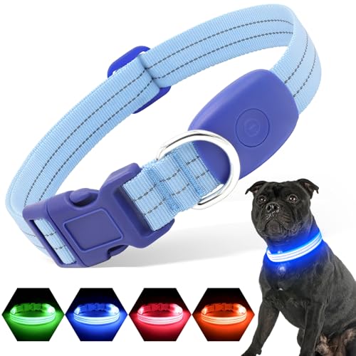 PZRLit Leuchthalsband Hund Aufladbar, Hundehalsband Leuchtend für Klein Mittel große Hunde, Einstellbar LED Halsband für Hunde für Nacht Sicherheit (Blau, Klein) von PZRLit