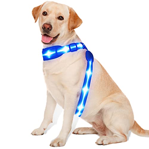 PZRLit LED Hundegeschirr Leuchtend für Hunde, Leuchtgeschirr Hundeweste Wiederaufladbar, Weich Gepolstert, Verstellbar und Reflektierend, Beleuchtetes Hundegeschirr (Blau) von PZRLit