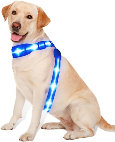 PZRLit LED Hundegeschirr Leuchtend für Hunde, Leuchtgeschirr Hundeweste Wiederaufladbar, Weich Gepolstert, Verstellbar und Reflektierend, Beleuchtetes Hundegeschirr (Blau, Mittel) von PZRLit