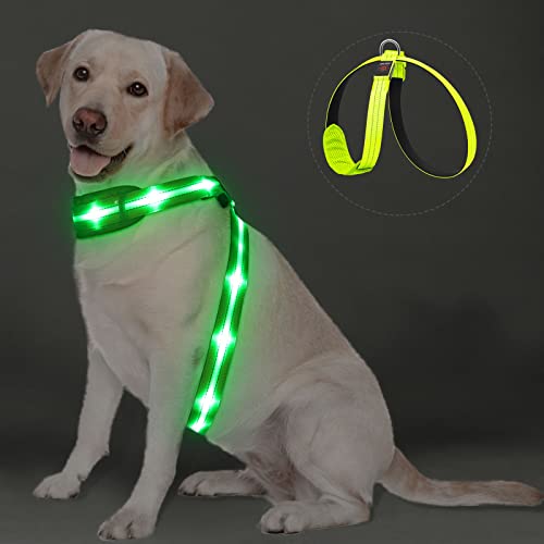 PZRLit LED Hundegeschirr Leuchtend für Hunde, Leuchtgeschirr Hundeweste Wiederaufladbar, Weich Gepolstert, Verstellbar und Reflektierend, Beleuchtetes Hundegeschirr (Grün, Groß) von PZRLit