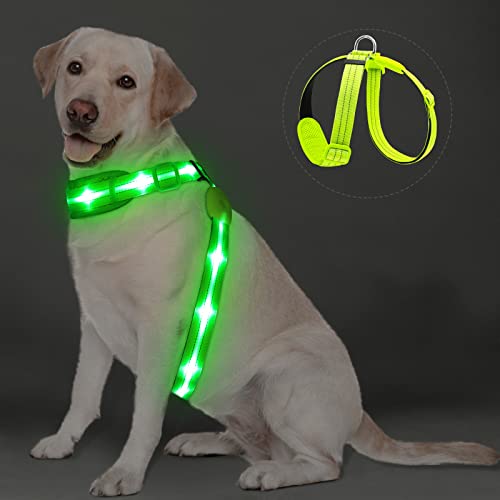 PZRLit LED Hundegeschirr Leuchtend für Hunde, Leuchtgeschirr Hundeweste Wiederaufladbar, Weich Gepolstert, Verstellbar und Reflektierend, Beleuchtetes Hundegeschirr (Grün, Groß) von PZRLit