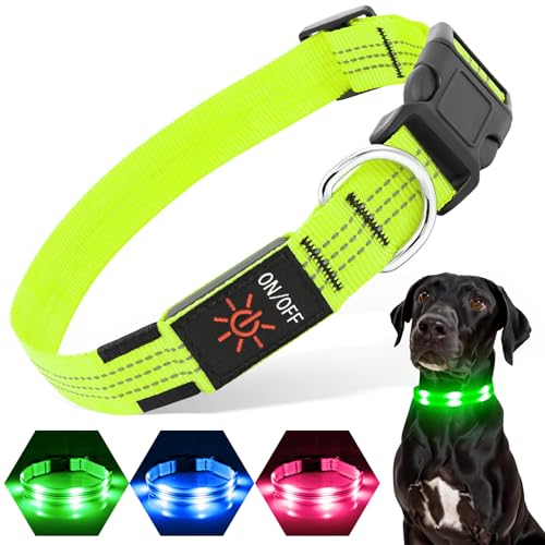PZRLit Hundehalsband Leuchtend USB Aufladbar, LED-Hunde Leuchthalsband für kleine mittelgroße große Hunde, Sicherheit beim Laufen in der Nacht,Grün Groß von PZRLit