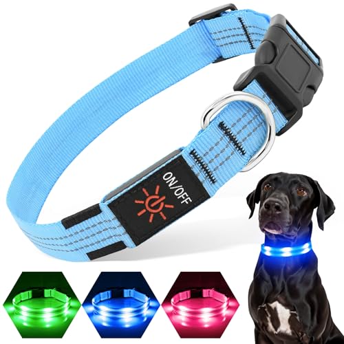 PZRLit Hundehalsband Leuchtend USB Aufladbar, LED-Hunde Leuchthalsband für kleine mittelgroße große Hunde, Sicherheit beim Laufen in der Nacht,Blau Mittel von PZRLit