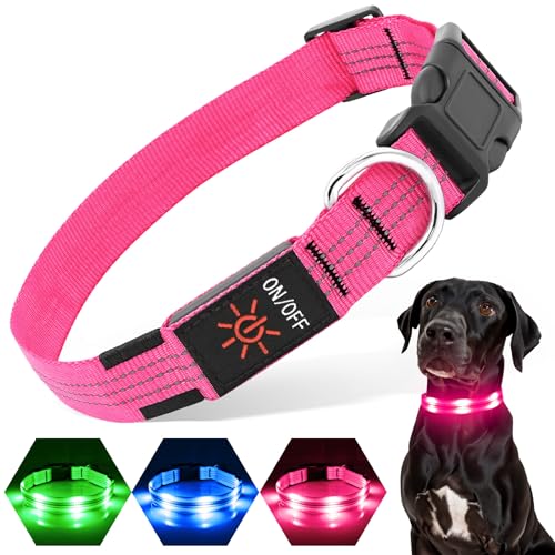 PZRLit Hundehalsband Leuchtend USB Aufladbar, LED-Hunde Leuchthalsband für kleine mittelgroße große Hunde, Sicherheit beim Laufen in der Nacht,Rosa Groß von PZRLit
