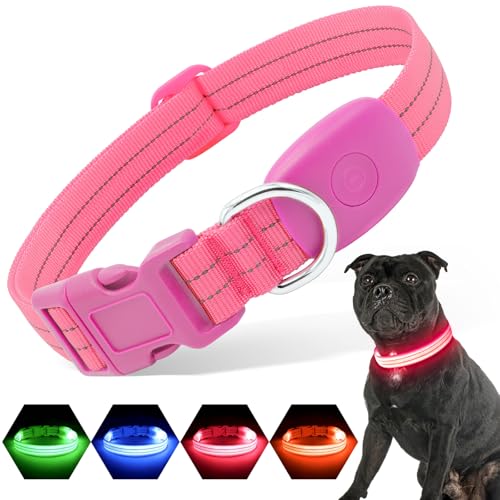 PZRLit Leuchthalsband Hund Aufladbar, Hundehalsband Leuchtend für Klein Mittel große Hunde, Einstellbar LED Halsband für Hunde für Nacht Sicherheit-Rosa, Mittel von PZRLit