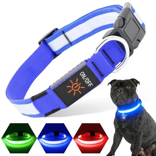 PZRLit Leuchthalsband Hund USB Aufladbar, LED Halsband für Klein Mittel große Hunde, Voll einstellbar & Hell Sicherheit Hundeleuchthalsbänder Beim Laufen in der Nacht (Groß, Blau) von PZRLit