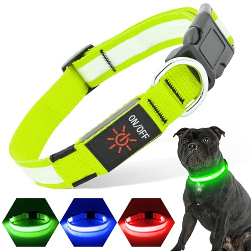 PZRLit Leuchthalsband Hund USB Aufladbar, LED Halsband für Klein Mittel große Hunde, Voll einstellbar & Hell Sicherheit Hundeleuchthalsbänder Beim Laufen in der Nacht (Groß, Grün) von PZRLit