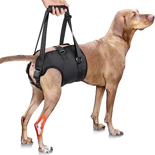PZRLit Tragehilfe Hund Treppe, Verstellbare Gehhilfe, Tragegurt Hinten, Tragegeschirr, Tasche für Ältere Hunde - Assistenzweste bei Hüft- und Hinterbeine Verletzungen - XL von PZRLit