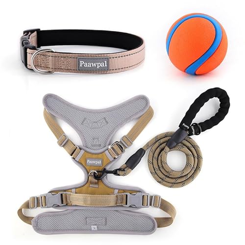 Paawpal Verstellbares Hundegeschirr, kein Ziehen, reflektierend, weich gepolstert für kleine, mittelgroße und große Hunde, inklusive Leine und Halsband, Beige, XS Paawpal Verstellbares Hundegeschirr, kein Ziehen, reflektierend, weich gepolstert für kleine, mittelgroße und große Hunde, inklusive Leine und Halsband, Beige, XS von Paawpal