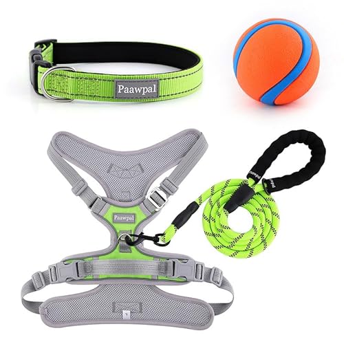 Paawpal Verstellbares Hundegeschirr, kein Ziehen, reflektierend, weich gepolstert für kleine, mittelgroße und große Hunde, inklusive Leine und Halsband, Grün, L Paawpal Verstellbares Hundegeschirr, kein Ziehen, reflektierend, weich gepolstert für kleine, mittelgroße und große Hunde, inklusive Leine und Halsband, Grün, L von Paawpal