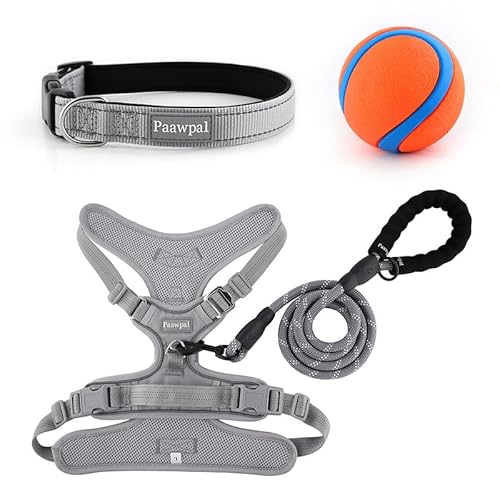 Paawpal Verstellbares Hundegeschirr, kein Ziehen, reflektierend, weich gepolstert für kleine, mittelgroße und große Hunde, inklusive Leine und Halsband, Hellsilber, Größe M Paawpal Verstellbares Hundegeschirr, kein Ziehen, reflektierend, weich gepolstert für kleine, mittelgroße und große Hunde, inklusive Leine und Halsband, Hellsilber, Größe M von Paawpal