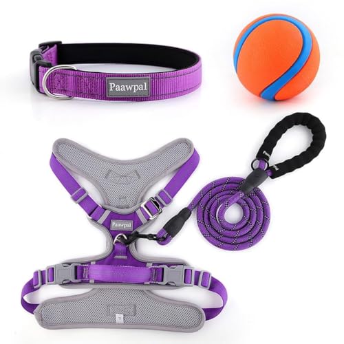Paawpal Verstellbares Hundegeschirr, kein Ziehen, reflektierend, weich gepolstert für kleine, mittelgroße und große Hunde, inklusive Leine und Halsband, Lila, Größe XL Paawpal Verstellbares Hundegeschirr, kein Ziehen, reflektierend, weich gepolstert für kleine, mittelgroße und große Hunde, inklusive Leine und Halsband, Lila, Größe XL von Paawpal
