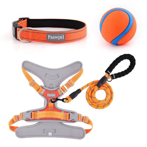 Paawpal Verstellbares Hundegeschirr, kein Ziehen, reflektierend, weich gepolstert für kleine, mittelgroße und große Hunde, inklusive Leine und Halsband, Orange, XL Paawpal Verstellbares Hundegeschirr, kein Ziehen, reflektierend, weich gepolstert für kleine, mittelgroße und große Hunde, inklusive Leine und Halsband, Orange, XL von Paawpal