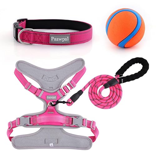 Paawpal Verstellbares Hundegeschirr, kein Ziehen, reflektierend, weich gepolstert für kleine, mittelgroße und große Hunde, inklusive Leine und Halsband, Rosa, Größe M Paawpal Verstellbares Hundegeschirr, kein Ziehen, reflektierend, weich gepolstert für kleine, mittelgroße und große Hunde, inklusive Leine und Halsband, Rosa, Größe M von Paawpal