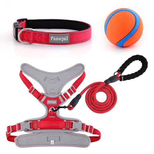 Paawpal Verstellbares Hundegeschirr, kein Ziehen, reflektierend, weich gepolstert für kleine, mittelgroße und große Hunde, inklusive Leine und Halsband, Rot, Größe XS Paawpal Verstellbares Hundegeschirr, kein Ziehen, reflektierend, weich gepolstert für kleine, mittelgroße und große Hunde, inklusive Leine und Halsband, Rot, Größe XS von Paawpal