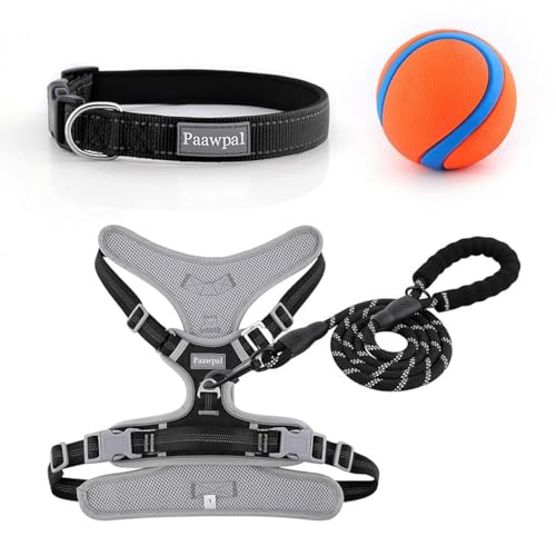 Paawpal Verstellbares Hundegeschirr, kein Ziehen, reflektierend, weich gepolstert für kleine, mittelgroße und große Hunde, inklusive Leine und Halsband, Schwarz, Größe XS Paawpal Verstellbares Hundegeschirr, kein Ziehen, reflektierend, weich gepolstert für kleine, mittelgroße und große Hunde, inklusive Leine und Halsband, Schwarz, Größe XS von Paawpal