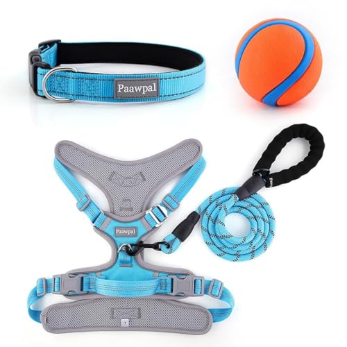 Paawpal Verstellbares Hundegeschirr, kein Ziehen, reflektierend, weich gepolstert für kleine, mittelgroße und große Hunde, inklusive Leine und Halsband, Türkis, XS Paawpal Verstellbares Hundegeschirr, kein Ziehen, reflektierend, weich gepolstert für kleine, mittelgroße und große Hunde, inklusive Leine und Halsband, Türkis, XS von Paawpal